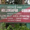 Field Trip to Hollongapar Gibbon Wildlife Sancturay, Mariani Range, Jorhat, Assam, October 30, 2023